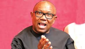 Peter Obi flays Plateau, Benue killings