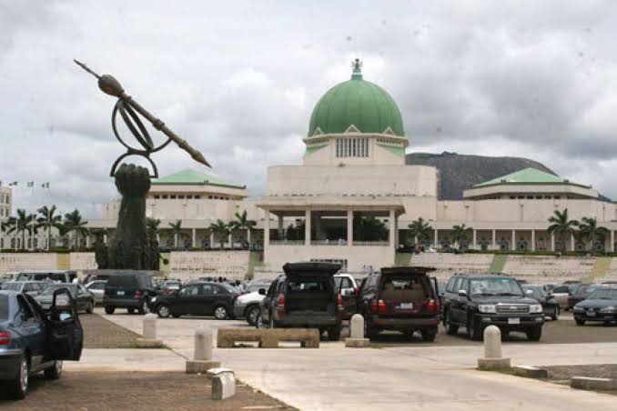 Electoral Process Must Be Sanitized To Avoid Giving Power To Thieves, Says National Assembly