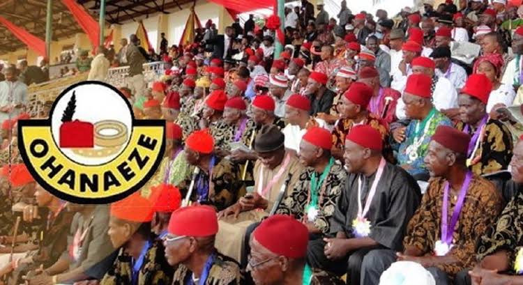 Ohanaeze Ndigbo Demands End To Wrong Profiling, Threat To Igbo Lives And Property