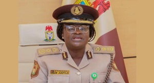 Nigerians Will Get Passport Two Weeks After Online Application, Says Immigration Service Boss