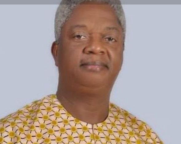 Felix Abugu Emerges Secretary Of Anya Ndi Igbo